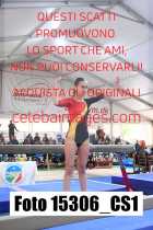 15306_CS1-