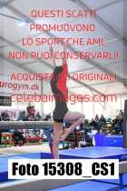 15308_CS1-