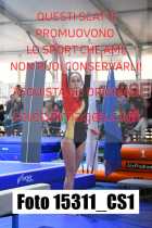 15311_CS1-