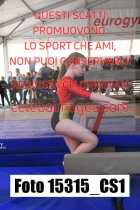 15315_CS1-