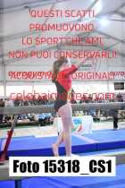 15318_CS1-