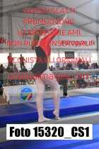 15320_CS1-