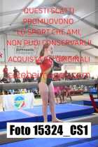15324_CS1-