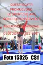 15325_CS1-