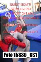 15330_CS1-