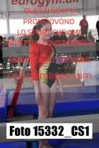 15332_CS1-