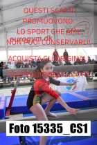 15335_CS1-