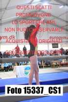 15337_CS1-