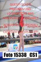 15338_CS1-