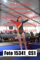 15341_CS1-
