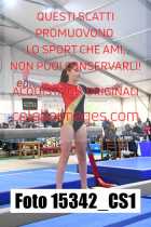 15342_CS1-