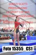 15355_CS1-