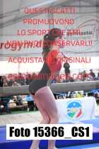 15366_CS1-