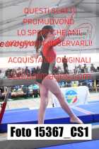 15367_CS1-