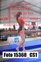 15368_CS1-