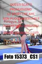 15373_CS1-
