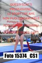 15374_CS1-