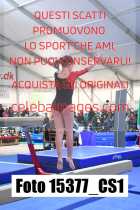 15377_CS1-
