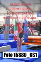 15380_CS1-