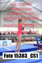 15383_CS1-