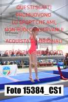 15384_CS1-