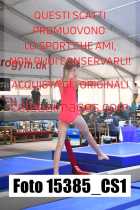15385_CS1-