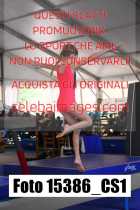 15386_CS1-