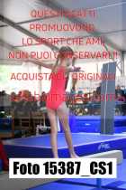 15387_CS1-