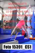 15391_CS1-