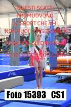 15393_CS1-