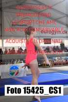 15425_CS1-