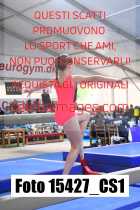 15427_CS1-