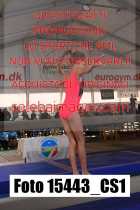 15443_CS1-