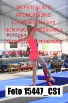 15447_CS1-