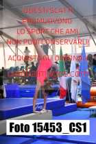 15453_CS1-