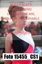 15455_CS1-