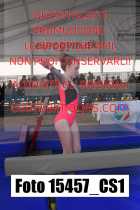 15457_CS1-