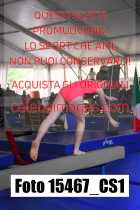 15467_CS1-