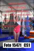 15471_CS1-