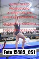 15485_CS1-