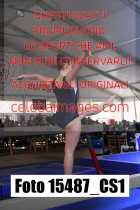 15487_CS1-