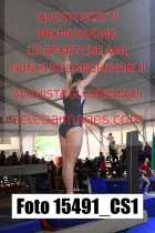 15491_CS1-
