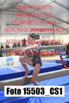 15503_CS1-