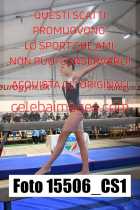 15506_CS1-