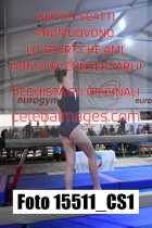 15511_CS1-