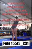15515_CS1-