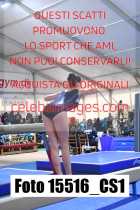15516_CS1-