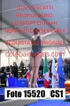 15520_CS1-