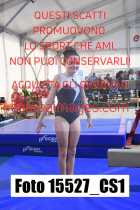 15527_CS1-