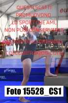 15528_CS1-